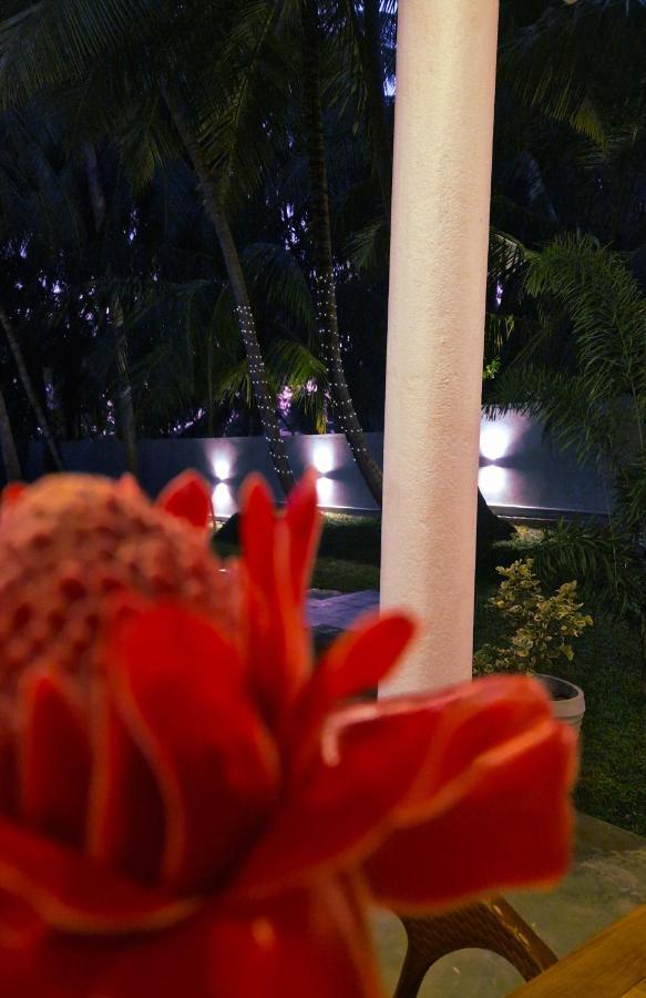 Mothership Tangalle Exterior foto